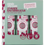 Levande Bakteriekultur Shot 6-pack 480ml Renée Voltaire.
