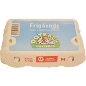 Ägg 15-pack Medelstora 795g Doteägg.