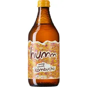 Kombucha Mango Passion 414ml Humm.