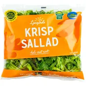 Krispsallad 60g Ljusgårda.