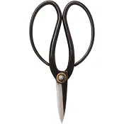 Bonsaisax ICA Garden.