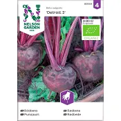 Rödbeta Organic 1-p Nelson Garden.