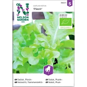 Sallat Plock Plezir Organic 1-p Nelson Garden.