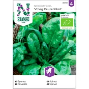 Spenat Vroeg Reuzenblad Organic 1-p Nelson Garden.