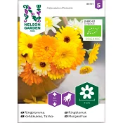Ringblomma Organic 1-p Nelson Garden.