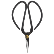 Kryddsax Retro Nelson Garden.