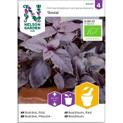 Basilika Rosie Organic 1-p Nelson Garden.