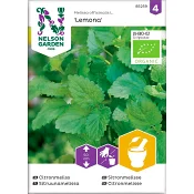Citronmeliss Organic 1-p Nelson Garden.