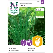 Gräslök Organic 1-p Nelson Garden.