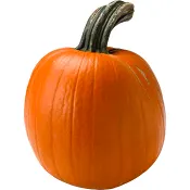 Pumpa ca 4kg Klass 1.