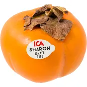 Sharon ICA ca 90g Klass 1 ICA.