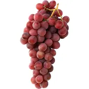 Druva Röd/blå Klass 1 ICA.