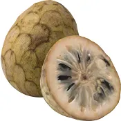 Cherimoya ca 220g Klass 1 ICA.