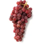 Druva Röd Blå Klass 1 ICA.