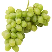 Druva Grön Klass 1 ICA.