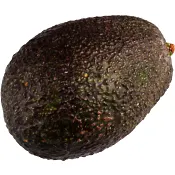 Avokado stor ca 285g Klass 1 ICA.
