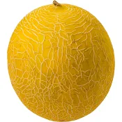 Nätmelon ca 1,4kg Klass 1 ICA.