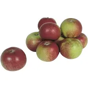 Äpplen Svenska Olika Sorter ca 175g Klass 1 ICA.