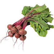 Rödbeta knippe ca 400g Klass 1 ICA.