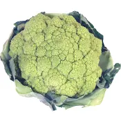 Blomkål färgad ca 300g Klass 1 ICA.