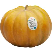 Pumpa Muscat Klass 1 ICA.