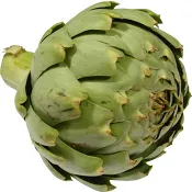 Kronärtskocka XL ca 600g Klass 1 ICA.