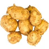 Färskpotatis Otvättad ca 50g Klass 1 ICA Styck.