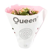 Kalanchoe dubbelblommande 10,5cm kruka Höjd 26cm rosa.