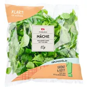 Finbladig Machesallat Sköljd 65g ICA.