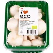 Champinjoner Ekologiska 250g KRAV Klass 1 ICA i love eco.