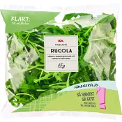 Finbladig rucola Sköljd 65g ICA.
