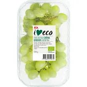 Druva Thompson gröna kärnfria seedless 500g Klass 1 ICA I love eco.