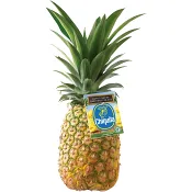 Ananas Chiquita ca 1,1kg Klass 1.