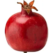 Granatäpple lv.