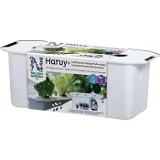 Hydroponisk Odling Harvy Nelson Garden.