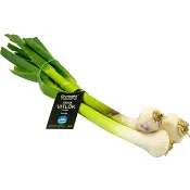 Färsk Vitlök 100g Klass 1.