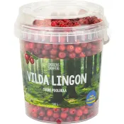 Lingon färska 500g.
