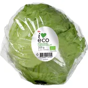 Isbergssallat Ekologisk 300g Klass 1 I love eco.