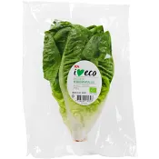 Miniromansallat Ekologisk 150g Klass 1 ICA I love.