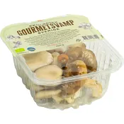 Gourmetsvamp Mix Ekologisk 150g ICA I love eco.