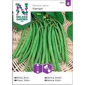 Böna Bryt Ferrari 1-p Nelson Garden.