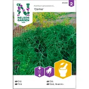 Dill Como 1-p Nelson Garden.