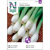 Lök Sallads White Lisbon 1-p Nelson Garden.