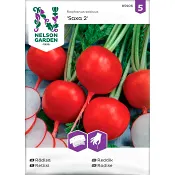 Rädisa Saxa 2 Såband 1-p Nelson Garden.