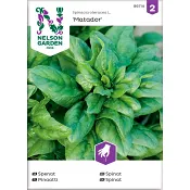 Spenat Matador 1-p Nelson Garden.