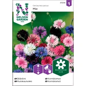 Blåklint Blandade färger Hög 1-p Nelson Garden.