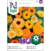 Ringblomma Blandade Färger 1-p Nelson Garden.