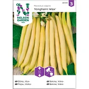 Böna Vax Kinghorn Wax 1-p Nelson Garden.