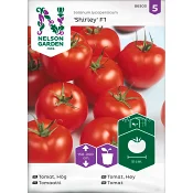 Tomat Shirley F1 1-p Nelson Garden.