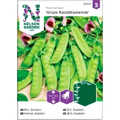 Ärt Socker Gigante Svizzero 1-p Nelson Garden.